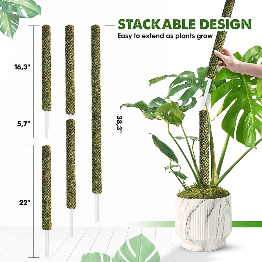 Moss boards Q57 22-23　MOSS STICK 71o8kBLFHeL._UF350,350_QL50_.jpg